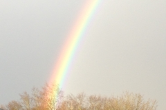 visite_20130722_1414542500